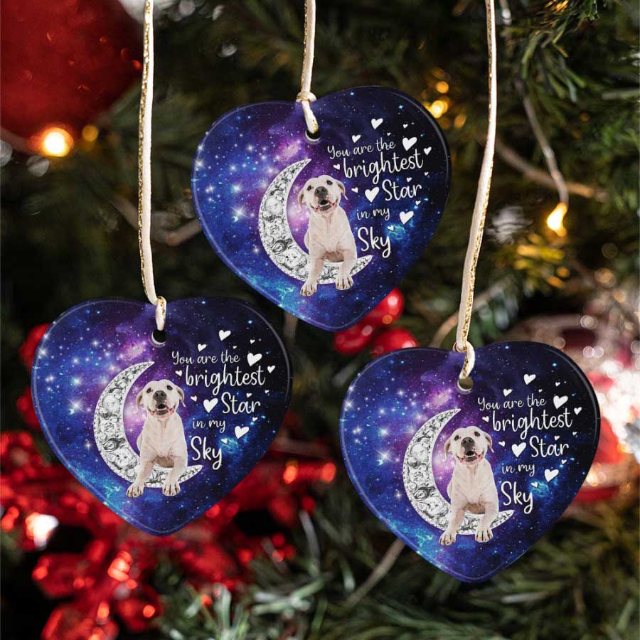 The-Brightest-Star-Of-Mine-Pitbull-Dog-Lover-Ceramic-Ornament-1